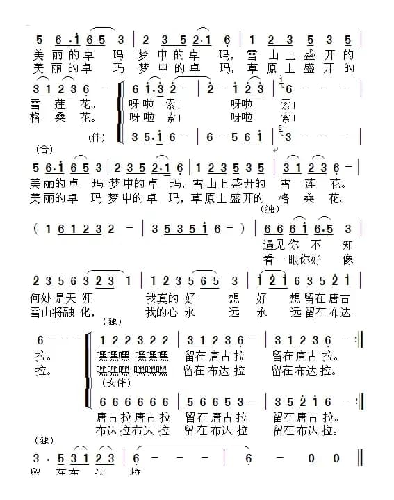 梦中的卓玛（汪晓罗词 周善儒曲）（版本二）