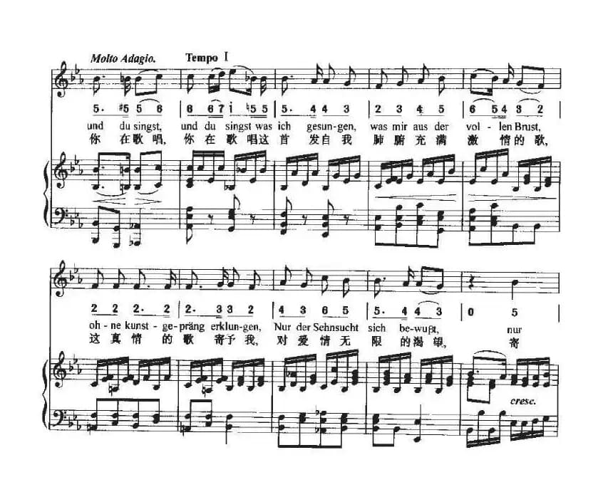 致远方的恋人（中外文对照、线简谱混排版）