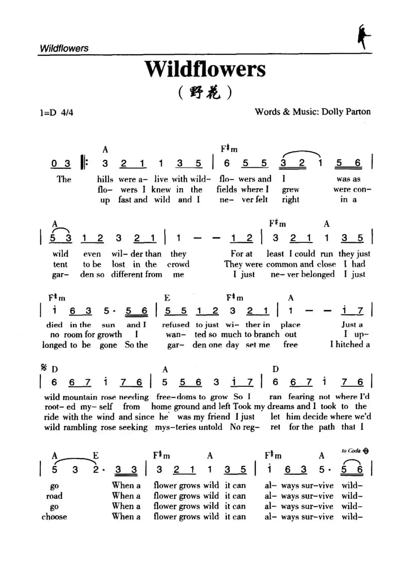 Wildflowers（野花）