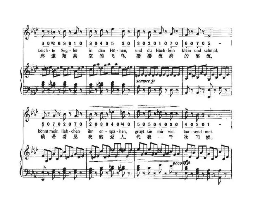 致远方的恋人（中外文对照、线简谱混排版）