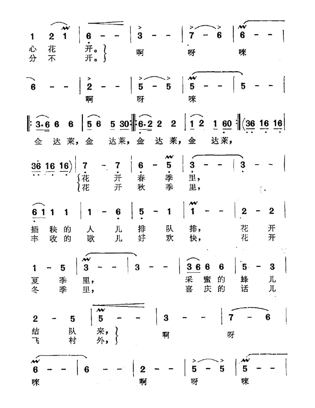 送你一支金达莱