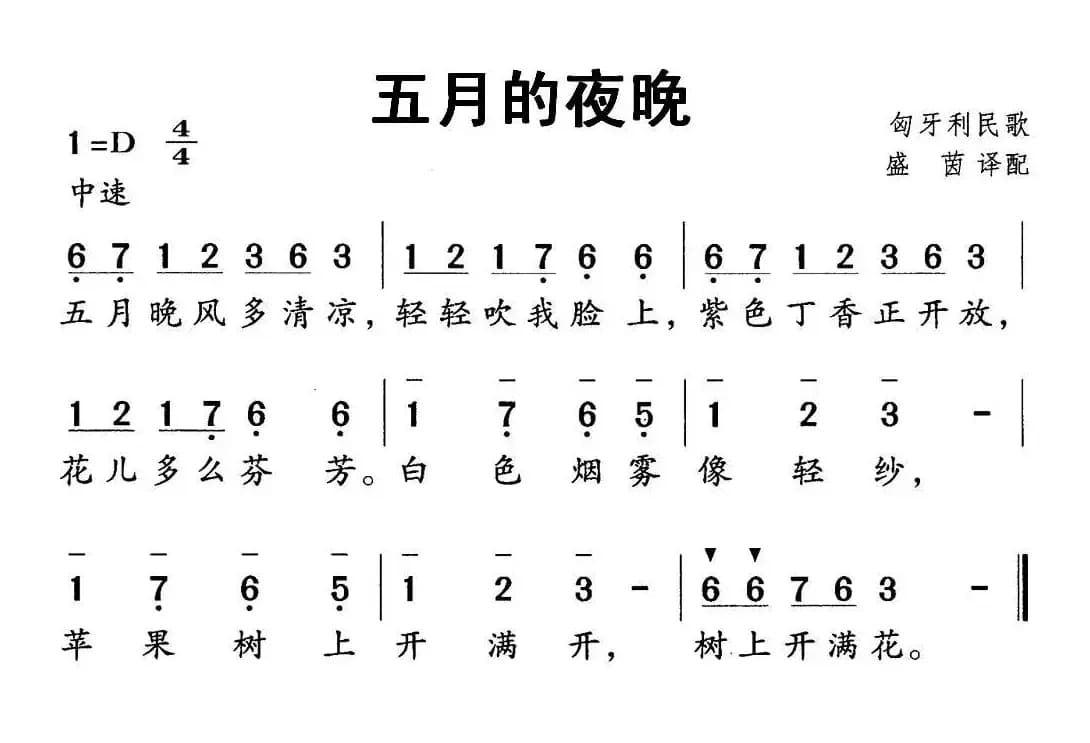 [匈牙利] 五月的夜晚