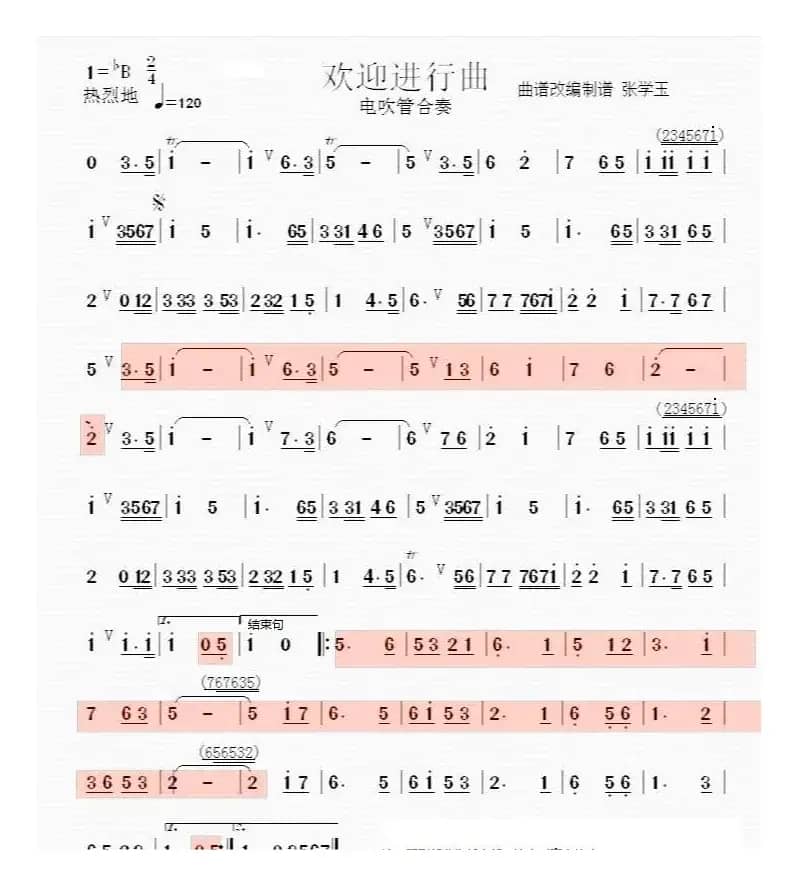 欢迎进行曲（电吹管改编）