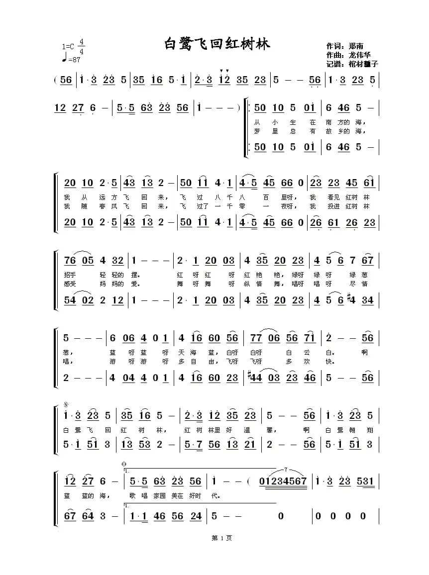 白鹭飞回红树林