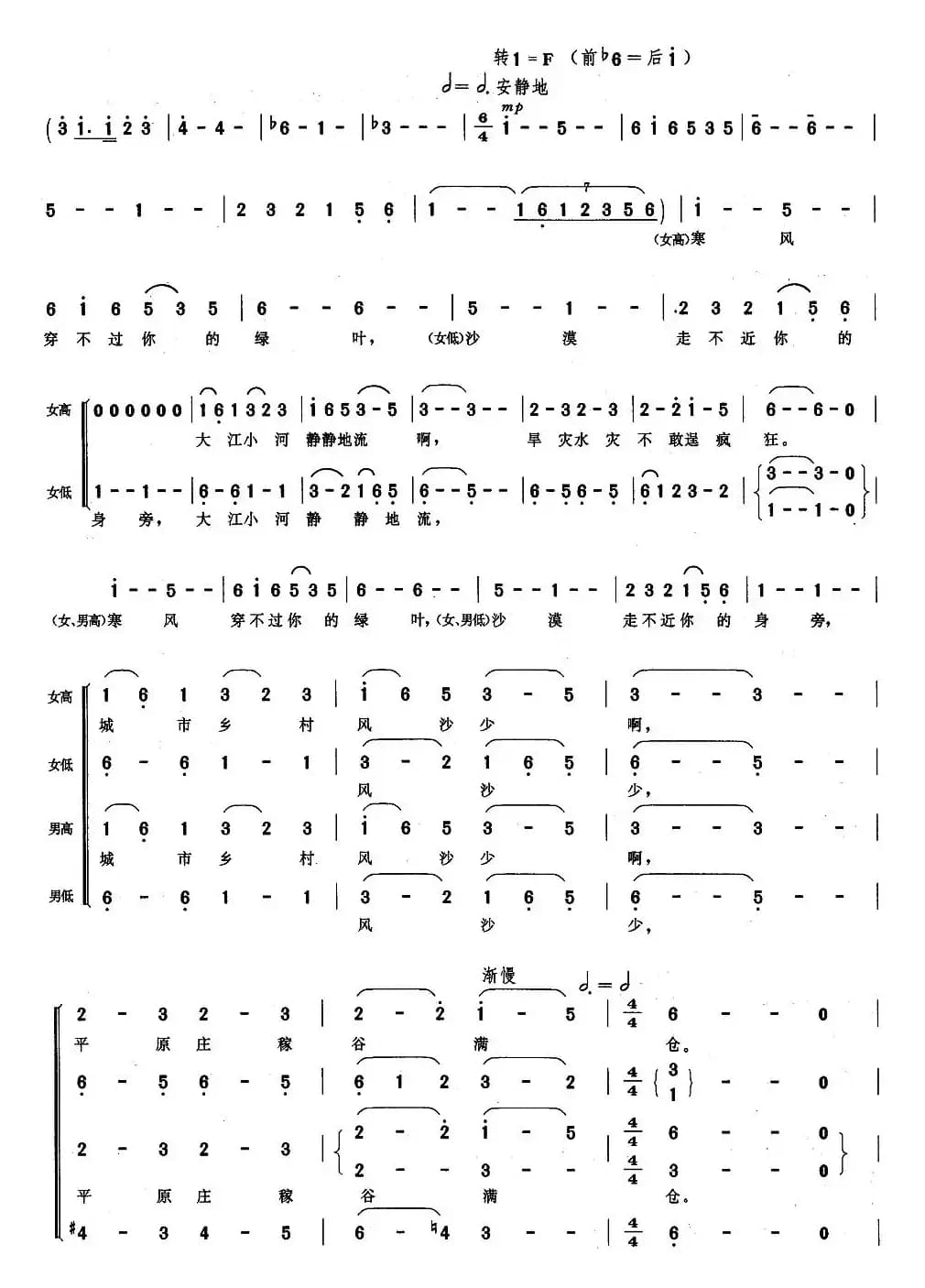 森林啊，绿色的海洋