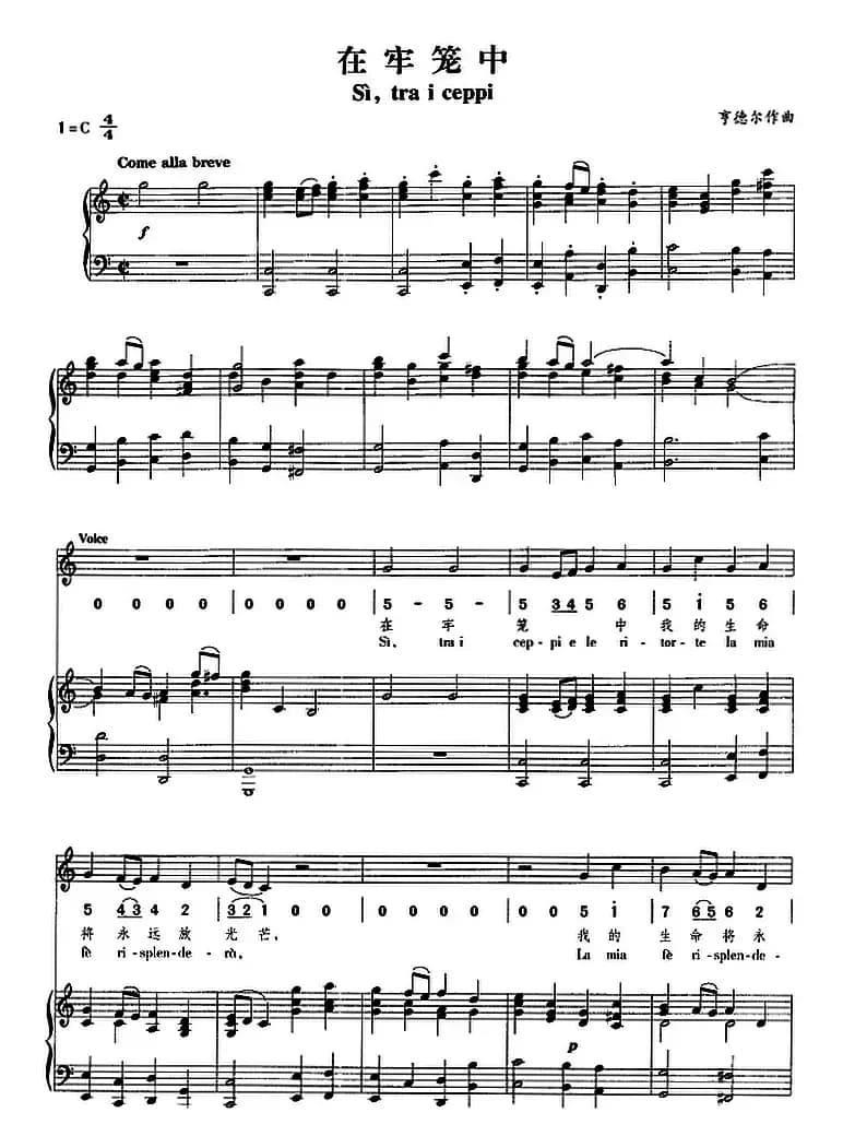 在牢笼中（正谱、线简谱、中外文对照版）