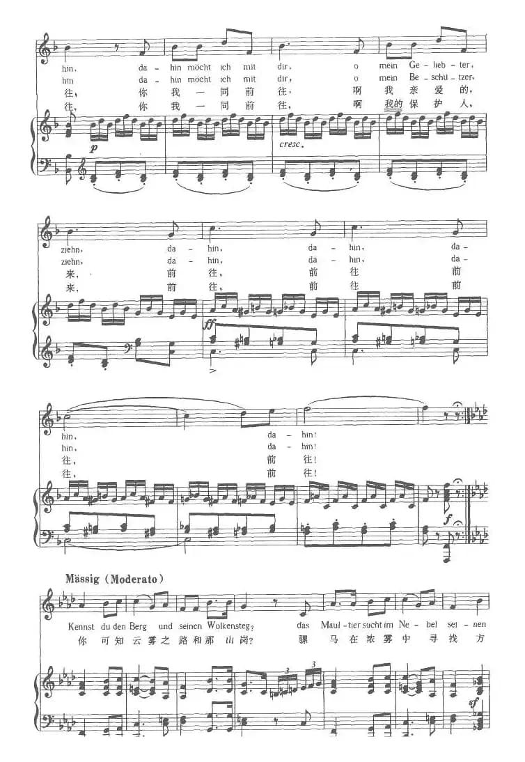 [奥] 迷娘之歌（邓映易译配版、正谱）