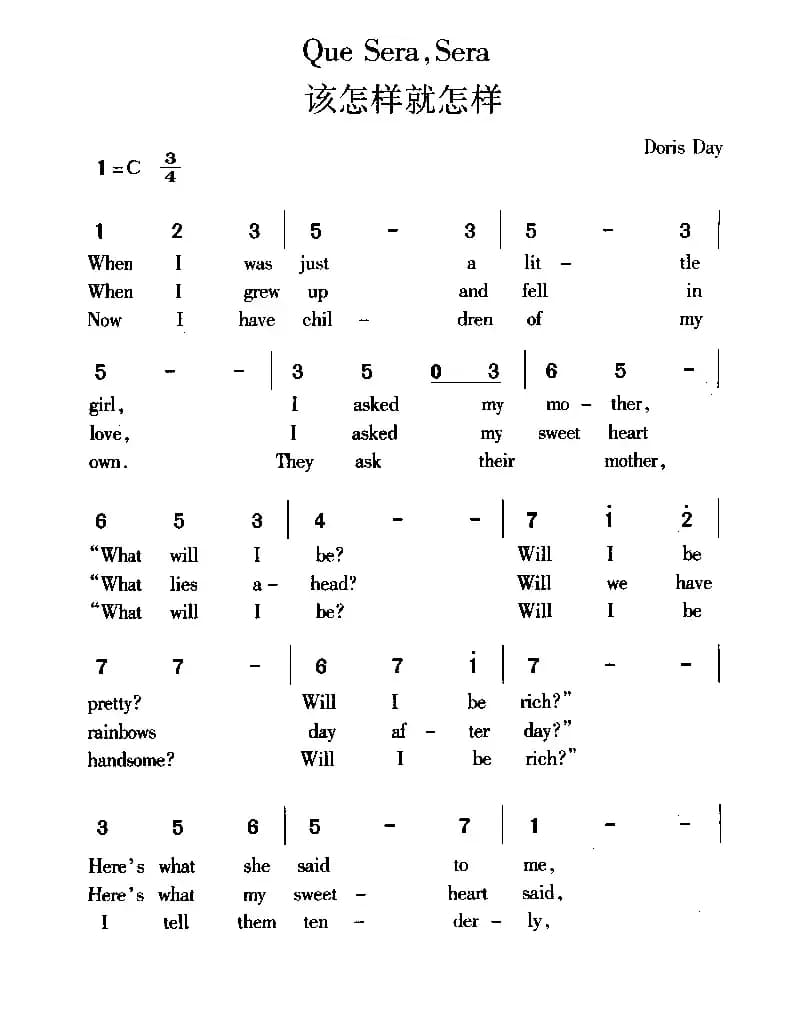 该怎样就怎样(QUE SERA SERA)