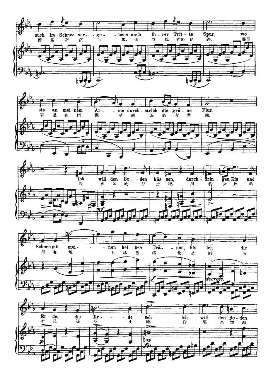 凝结（中外文对照版、正谱 [奥]）