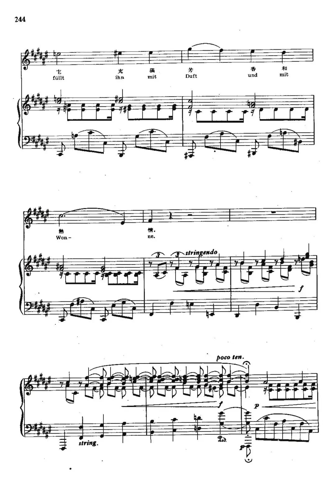 我的爱情多青春（中外文对照、正谱）