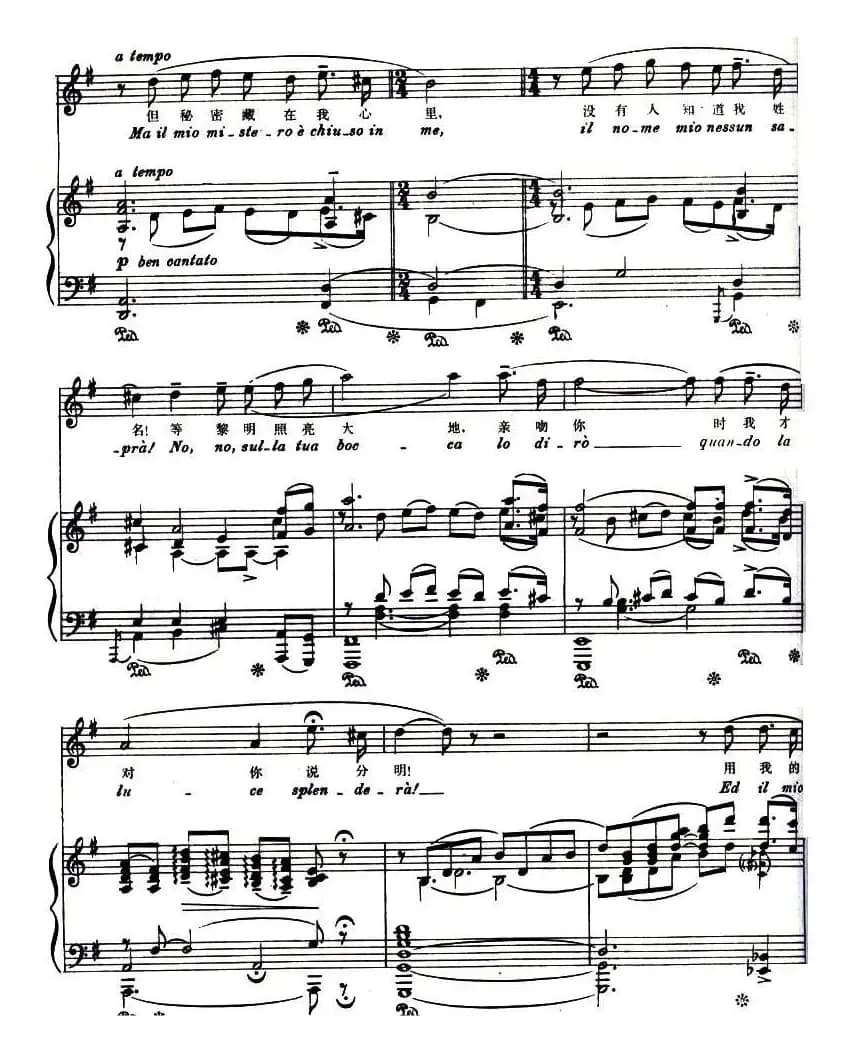 不得睡觉（今夜无人入睡)王子咏叹调 选自《图兰朵）