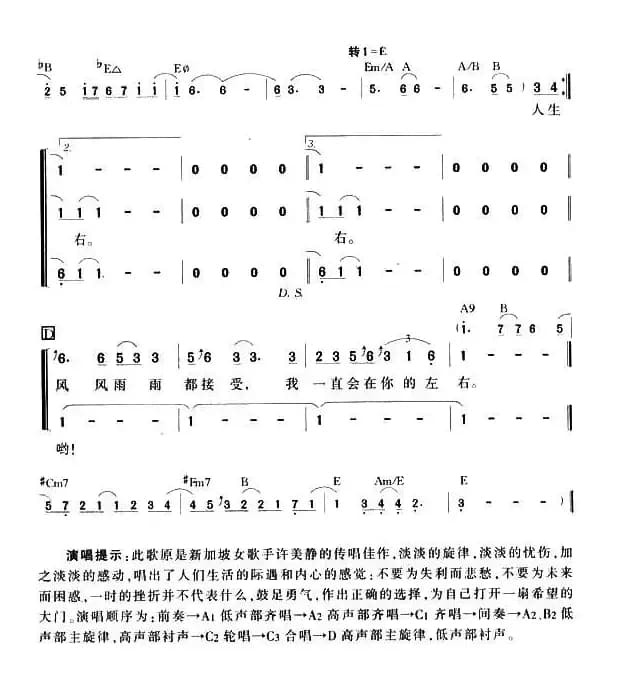 阳光总在风雨后