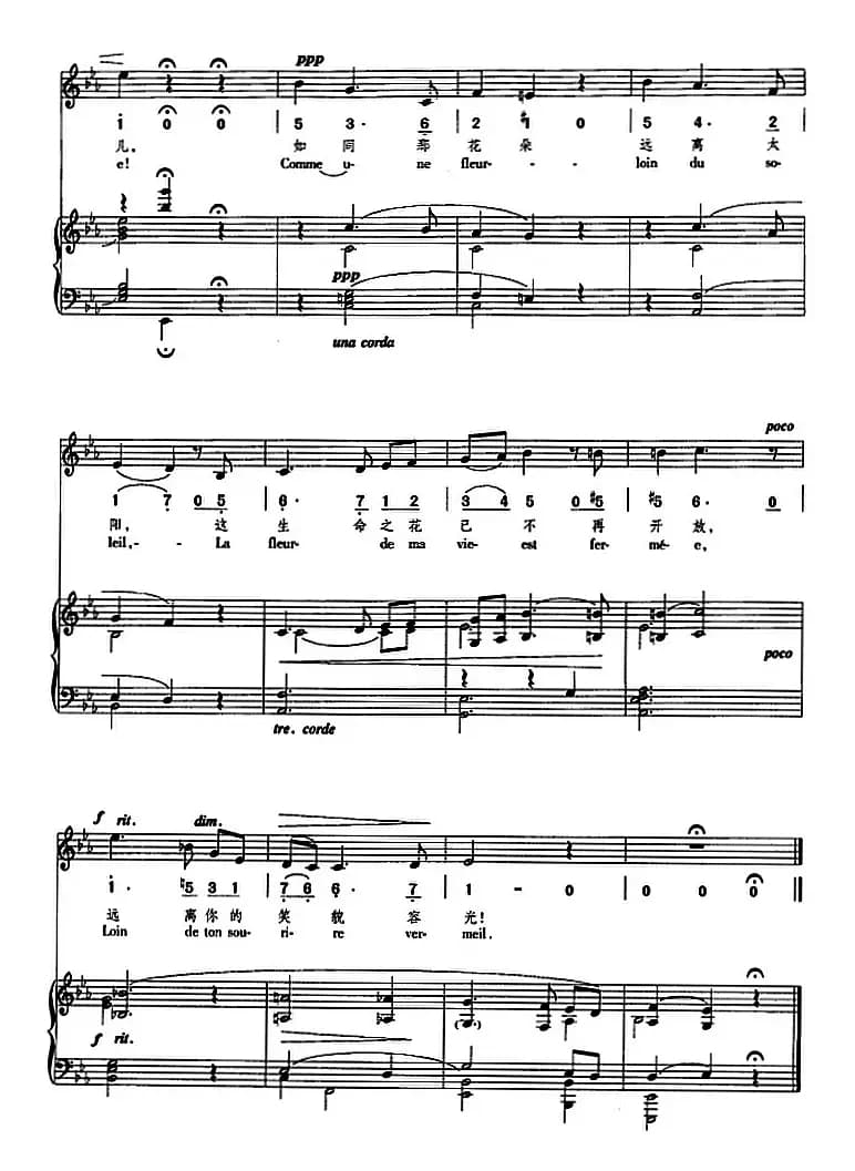 离别（正谱、线简谱、中外文对照版）