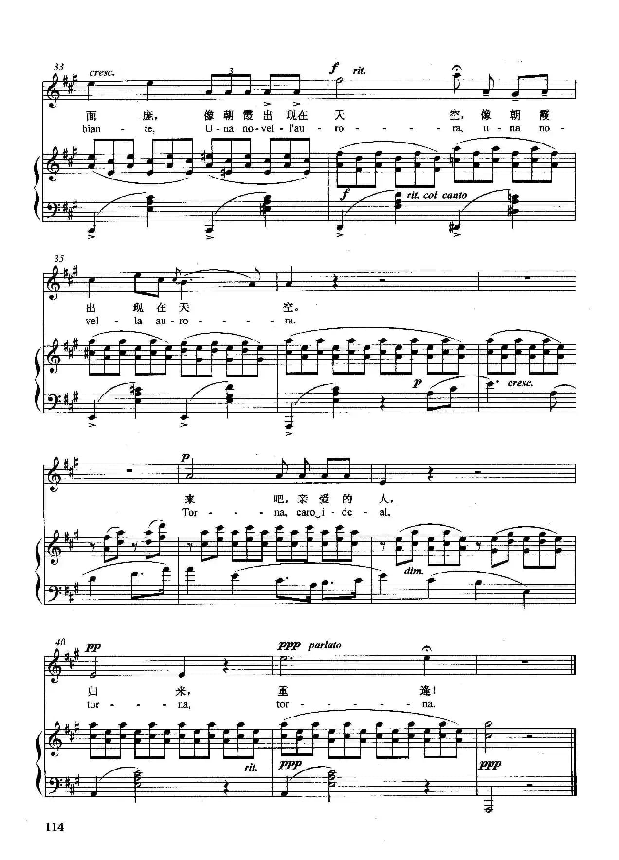 [意]理想佳人（正谱）