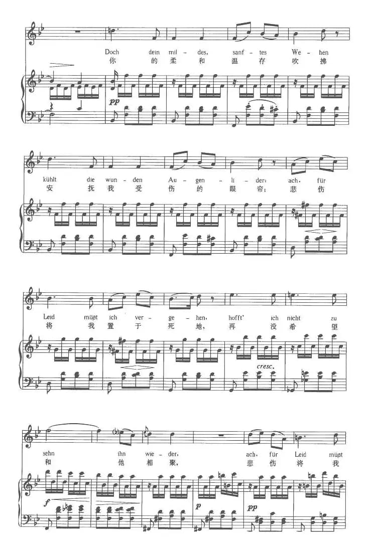 苏莱卡的第二支歌（中外文对照版、正谱 [奥]）