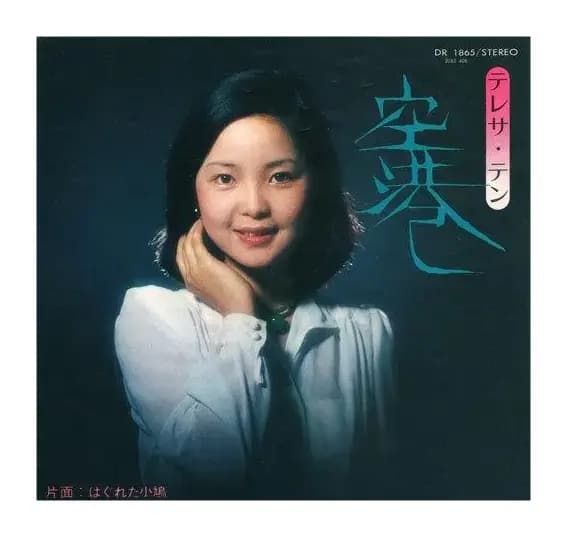 [日]はぐれた小鳩（走散的小鸽子）