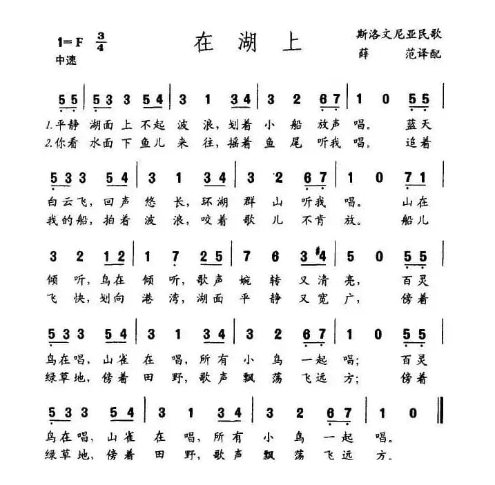 在湖上（斯洛文尼亚）