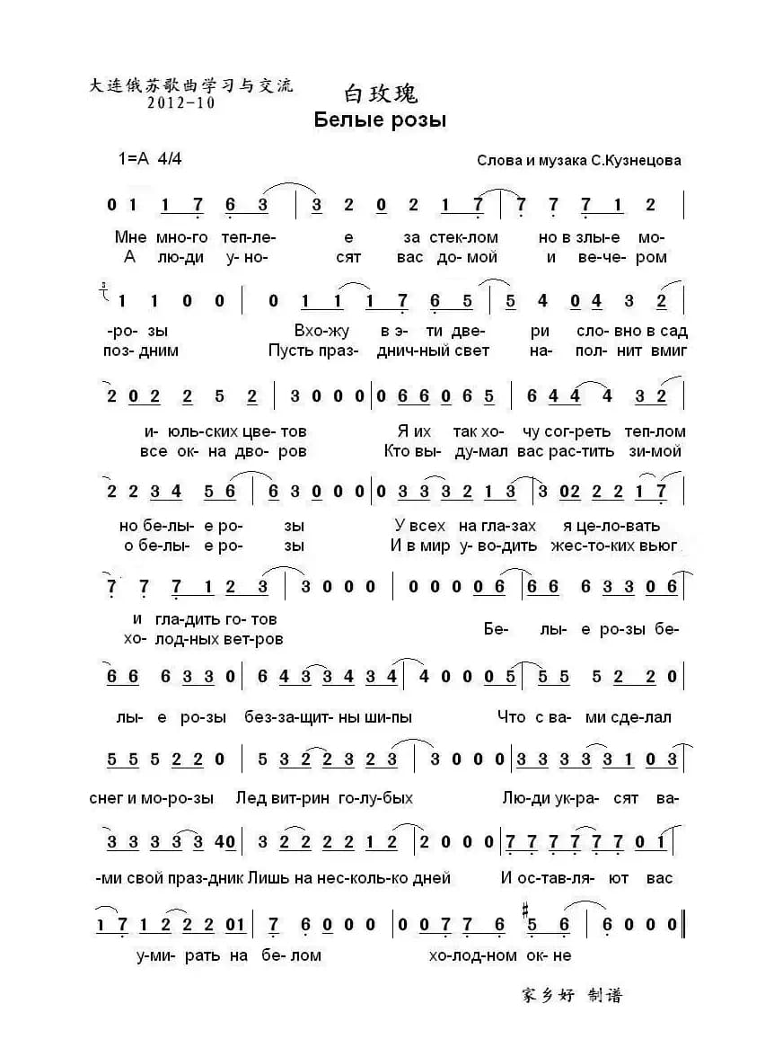 白玫瑰 Белые розы  （中俄简谱）