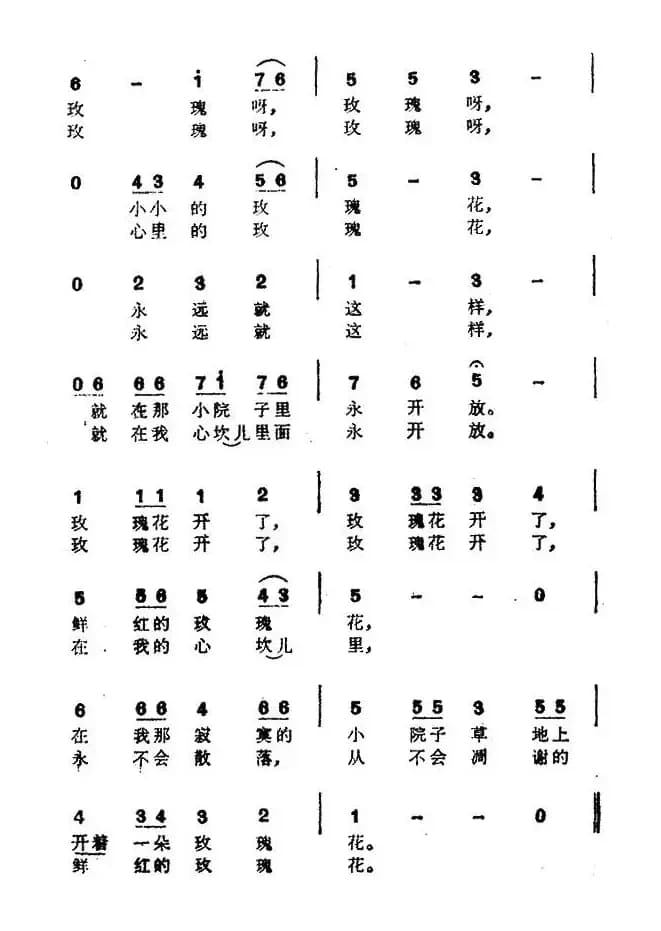 [日]玫瑰花开了