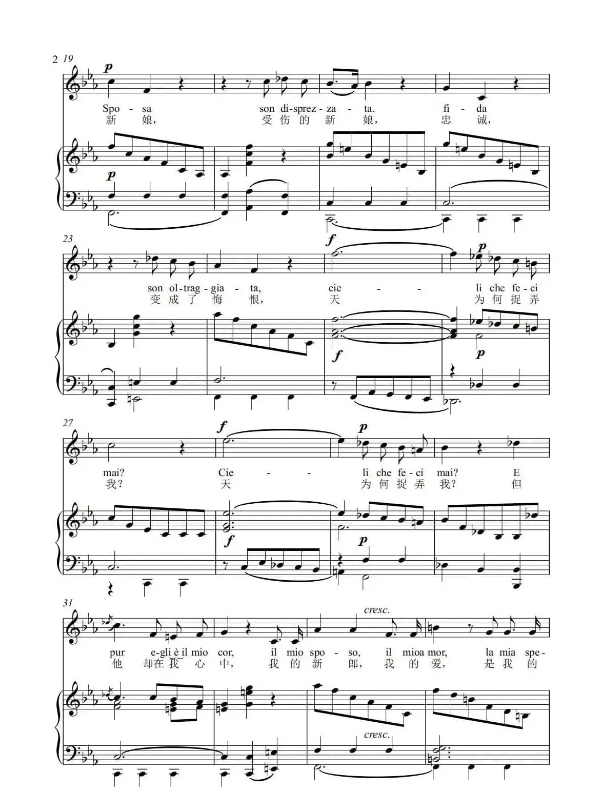 《受伤的新娘》