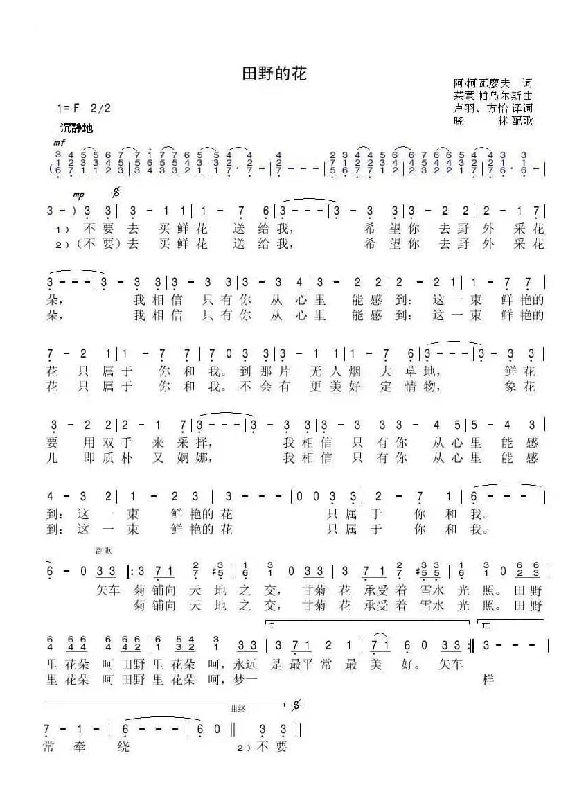 田野的花（前苏联）