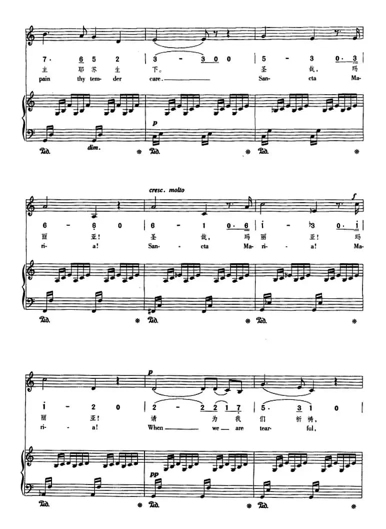 圣母颂（正谱、线简谱、中外文对照版）