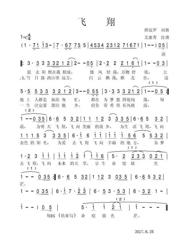 飞翔   （唐远罗）