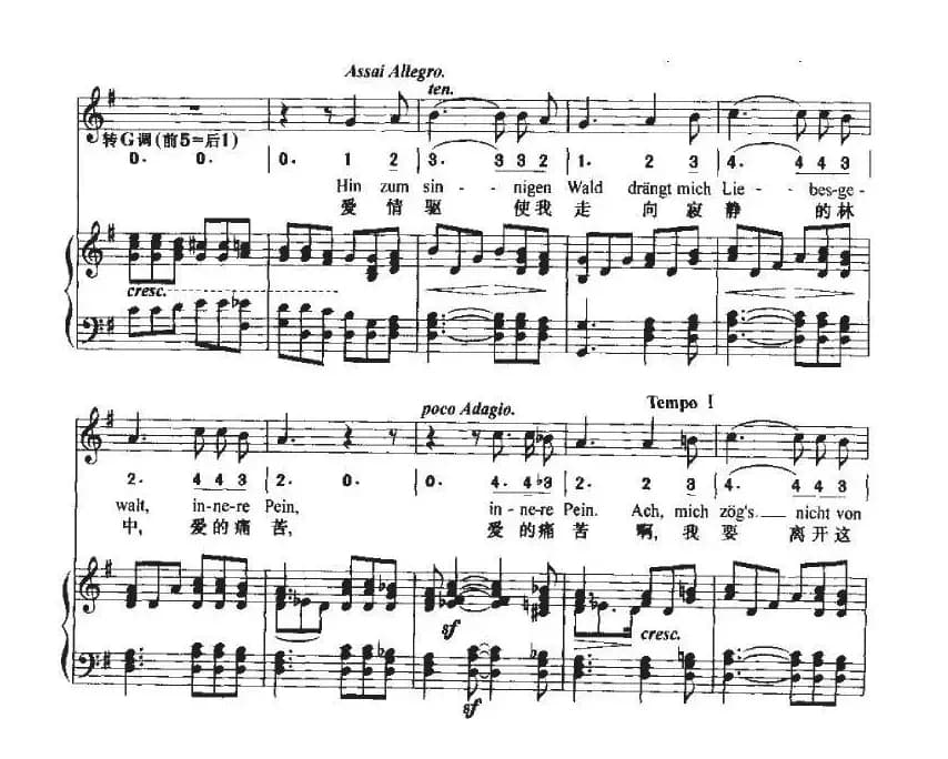 致远方的恋人（中外文对照、线简谱混排版）