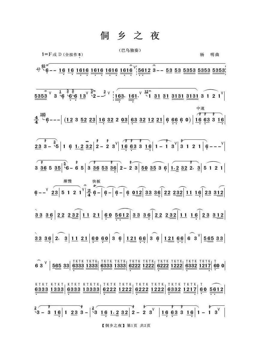 侗乡之夜（葫芦丝独奏）