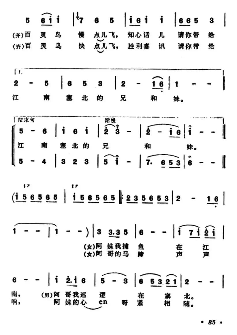百灵鸟你往哪儿飞