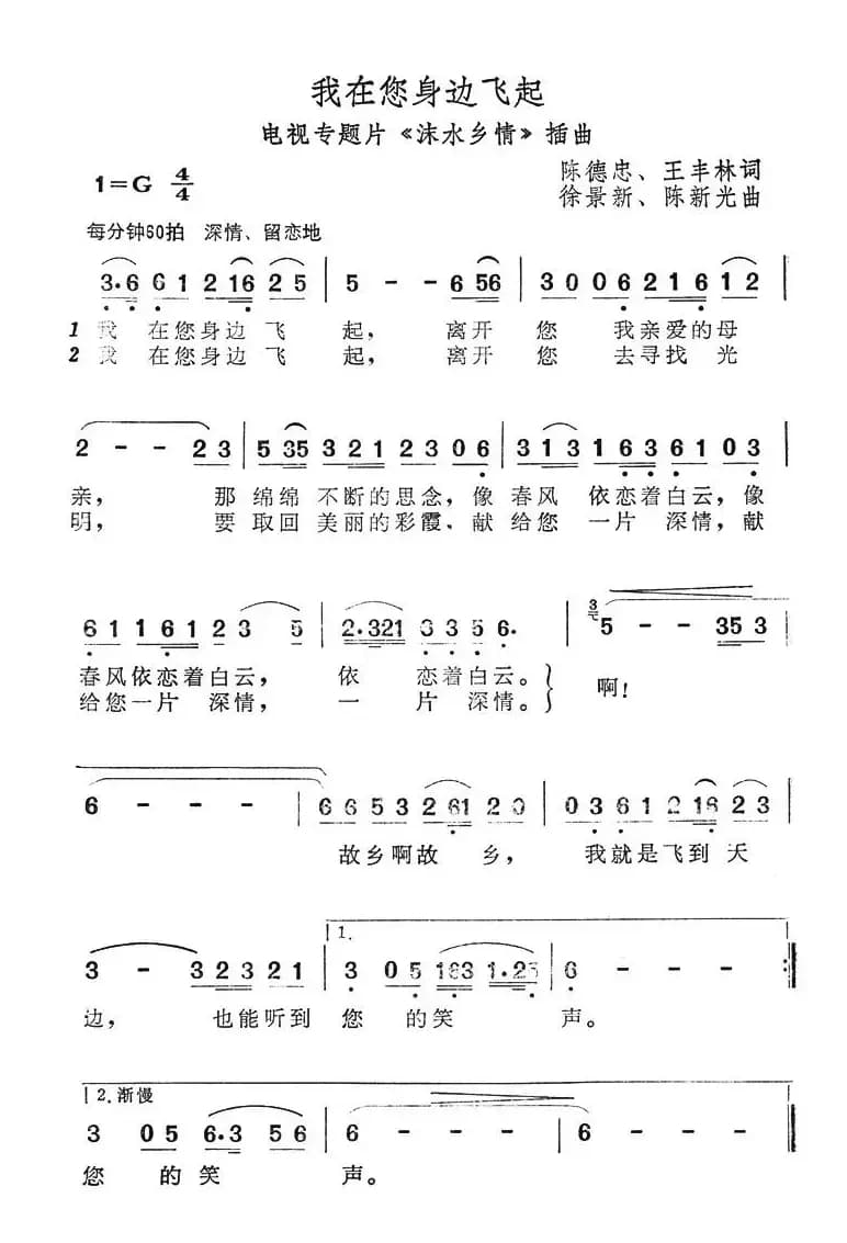 我在您身边飞起（电视专题片《沫水乡情》插曲）
