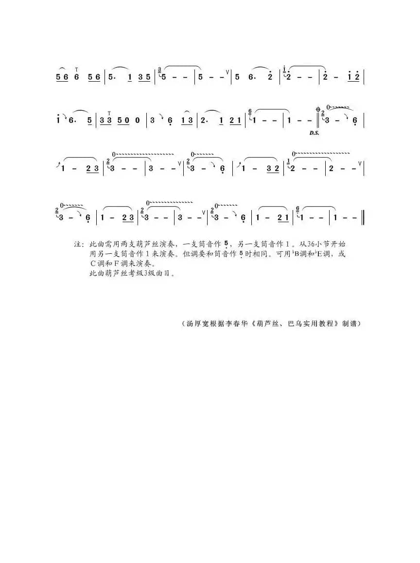 月光下的凤尾竹（葫芦丝独奏）