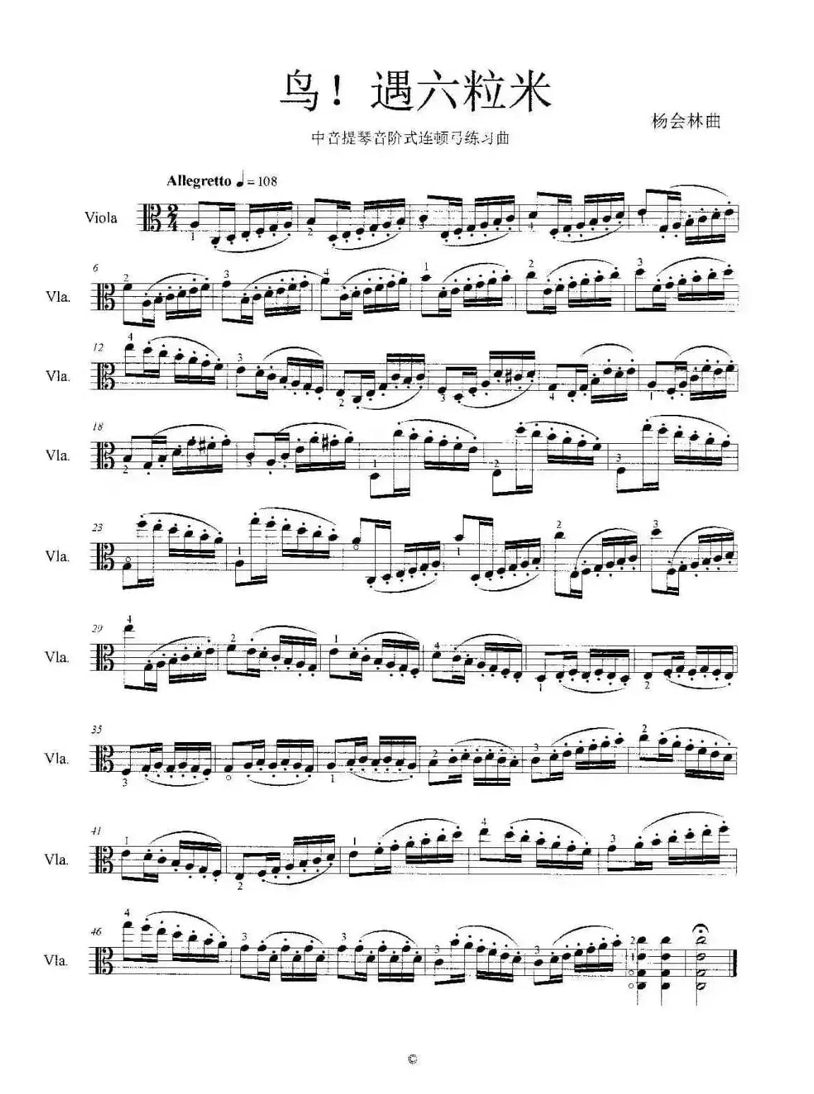 鸟！遇六粒米（中音提琴音阶式连顿弓练习曲）