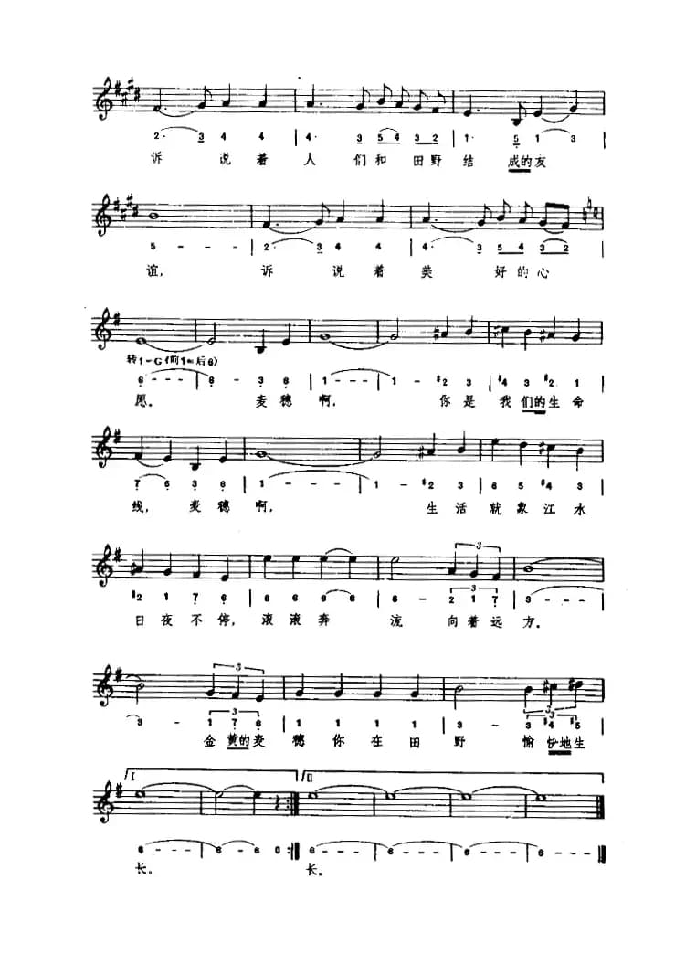 [罗马尼亚]麦穗（简线混排）