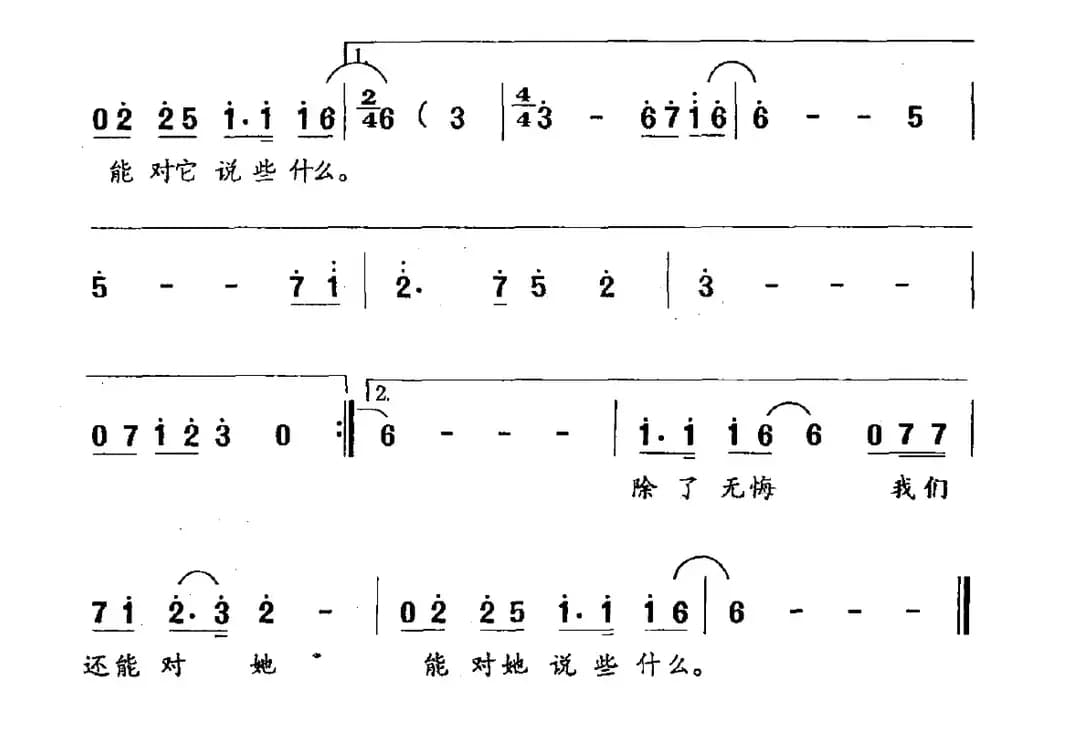 真情真意（电视剧《英雄无悔》主题曲）