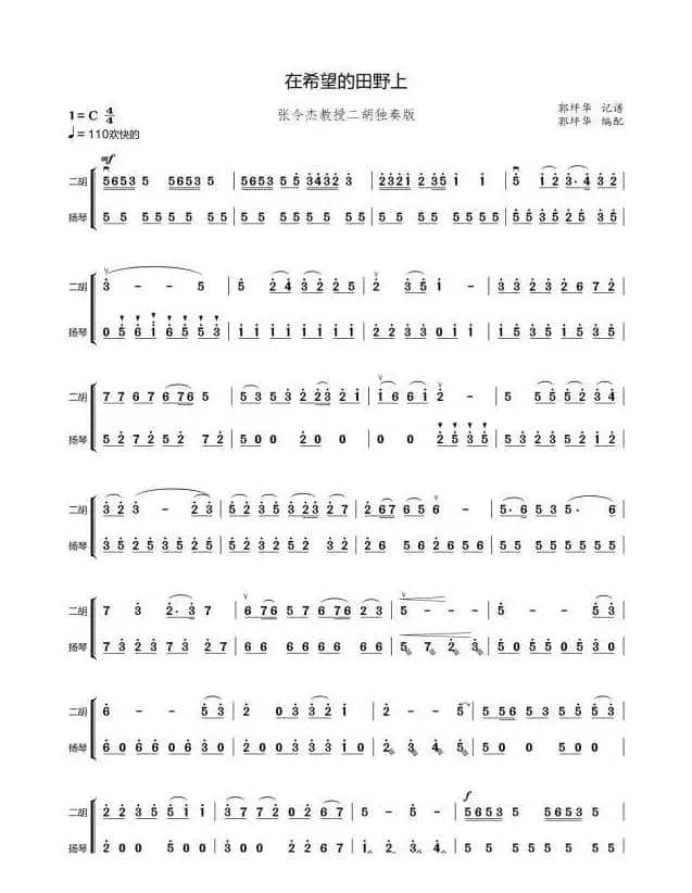 在希望的田野上（张令杰二胡独奏版）