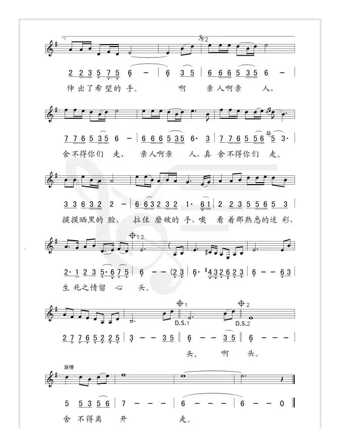 舍不得你们走(线、简谱混排版)