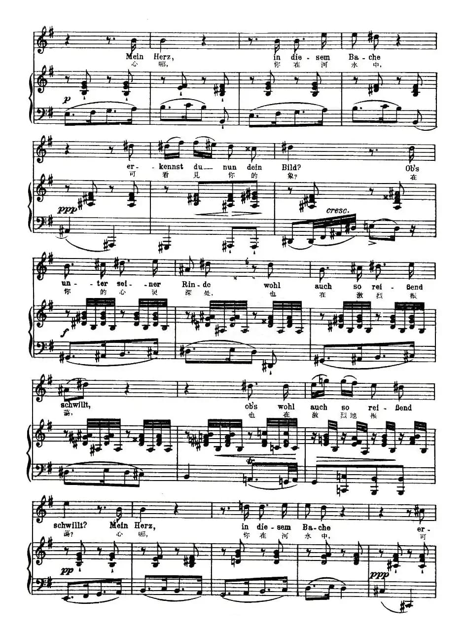 在河面上（中外文对照版、正谱 [奥]）