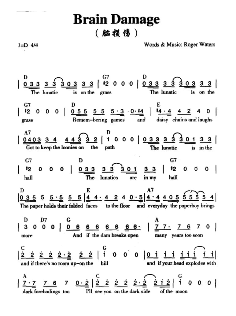 Brain Damage（脑损伤）