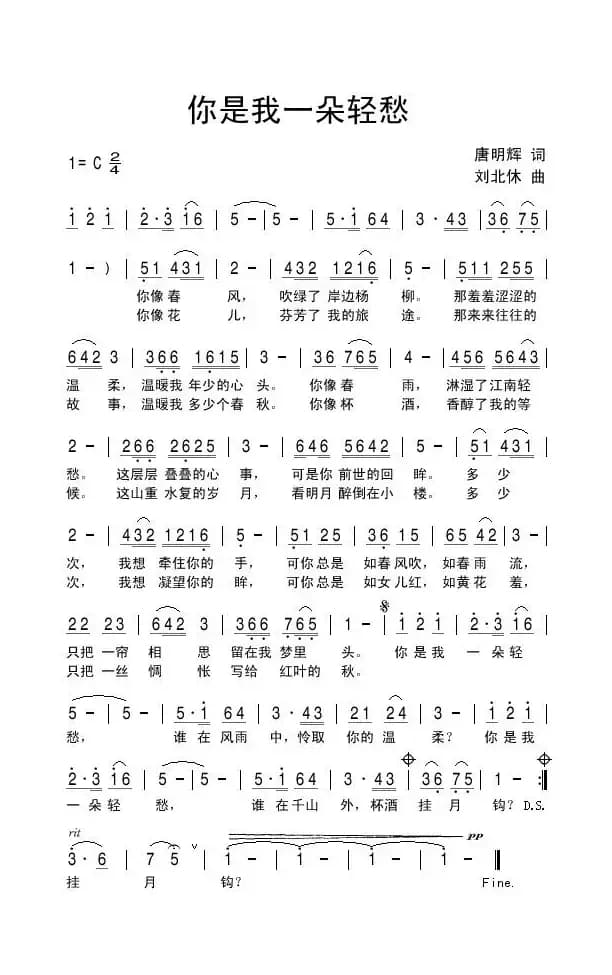 你是我一朵轻愁