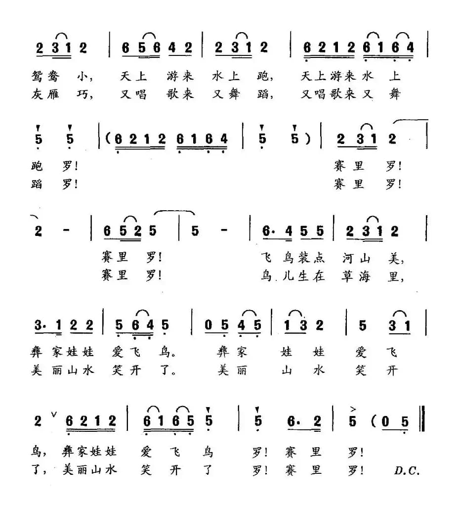 彝家娃娃爱飞鸟