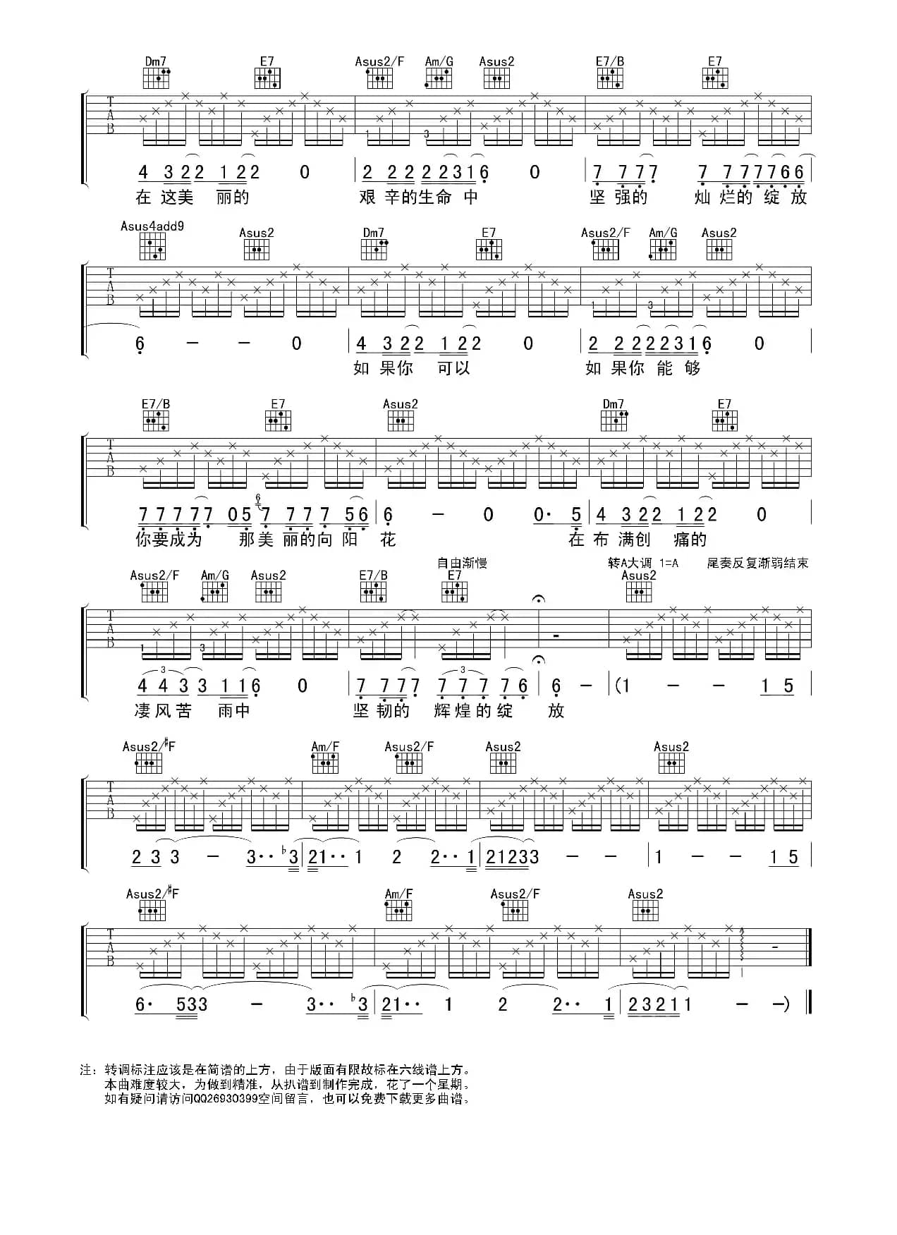 向阳花（吉他谱）