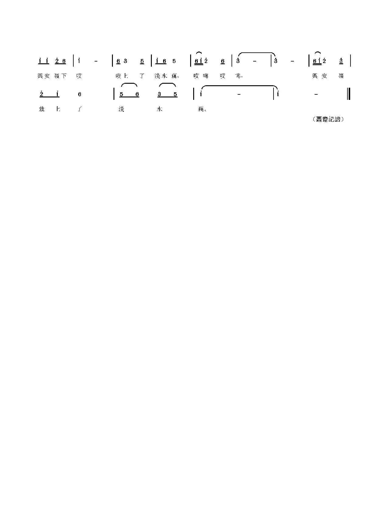 兴安岭种上了浅水藕