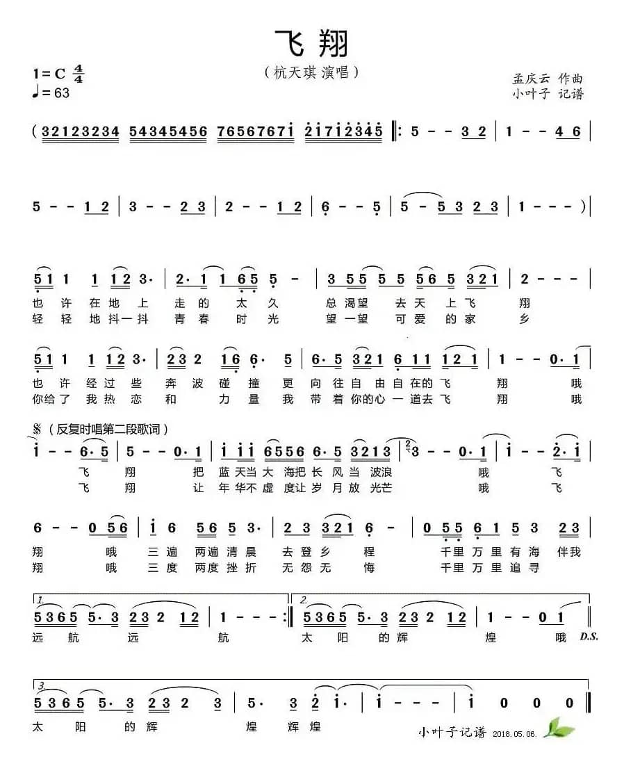 飞翔（杭天琪演唱版）