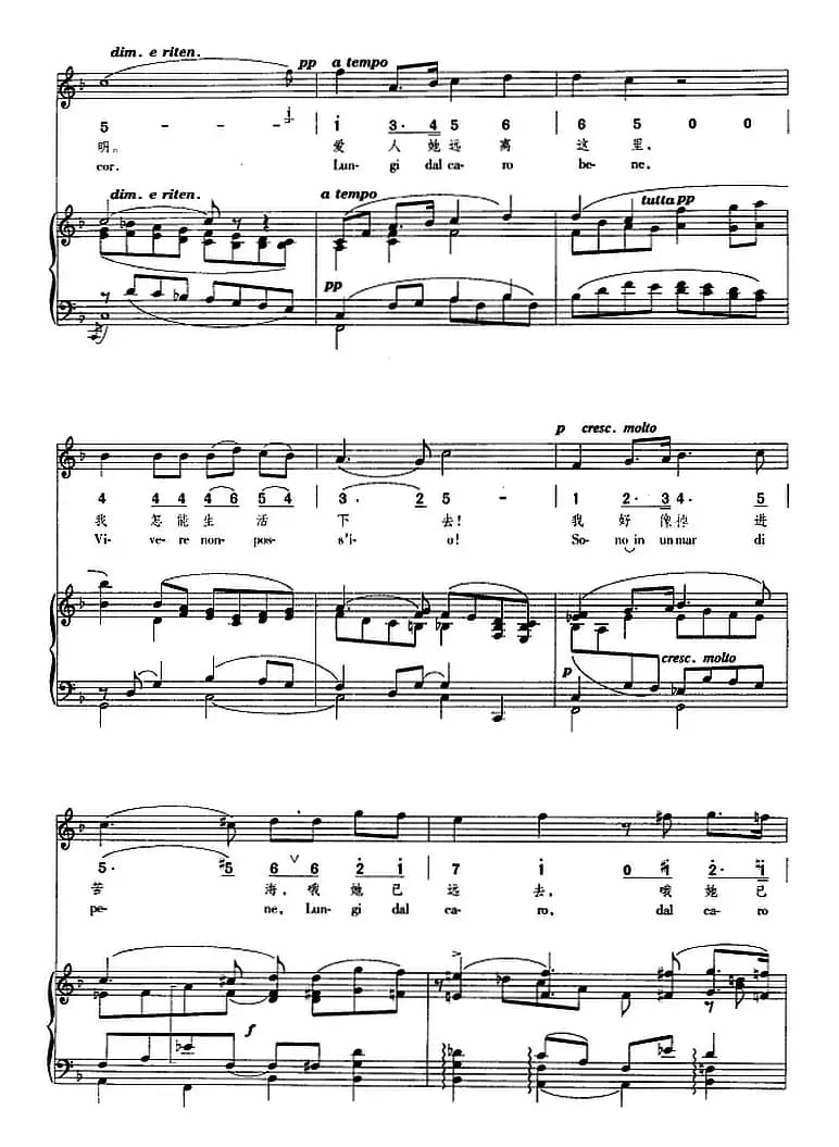 爱人她远离这里（正谱、线简谱、中外文对照版）