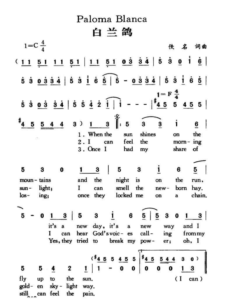 Paloma Blanca（白兰鸽）