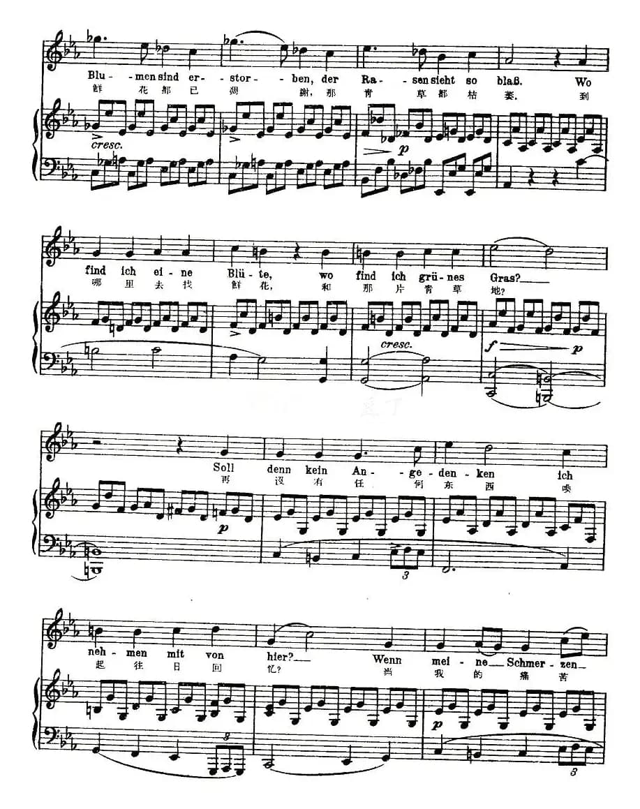 凝结（中外文对照版、正谱 [奥]）