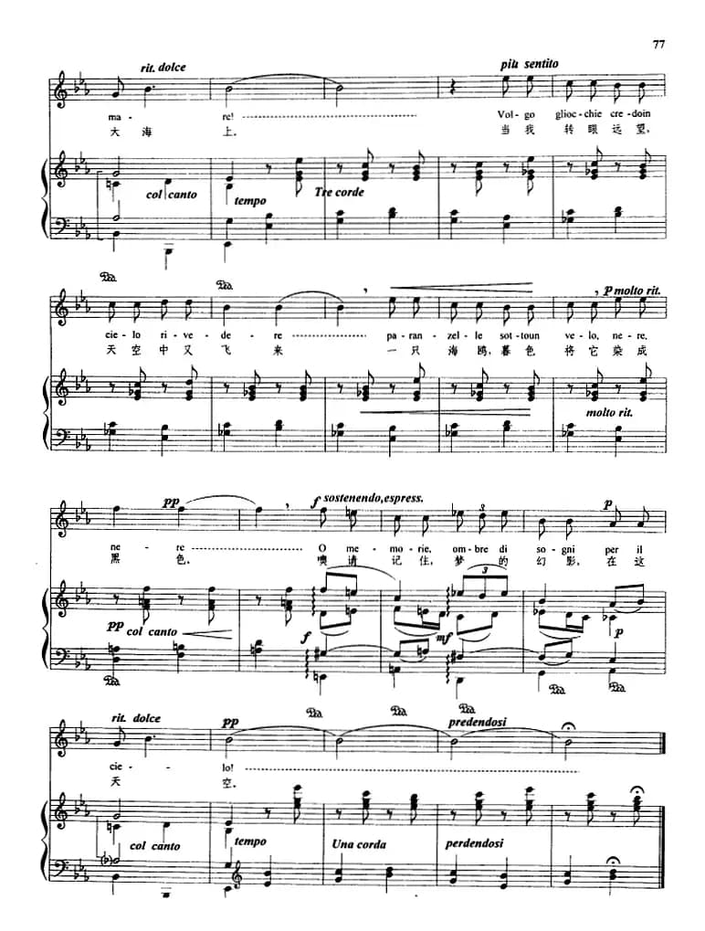 海鸥 （正谱、俞子正译配版）