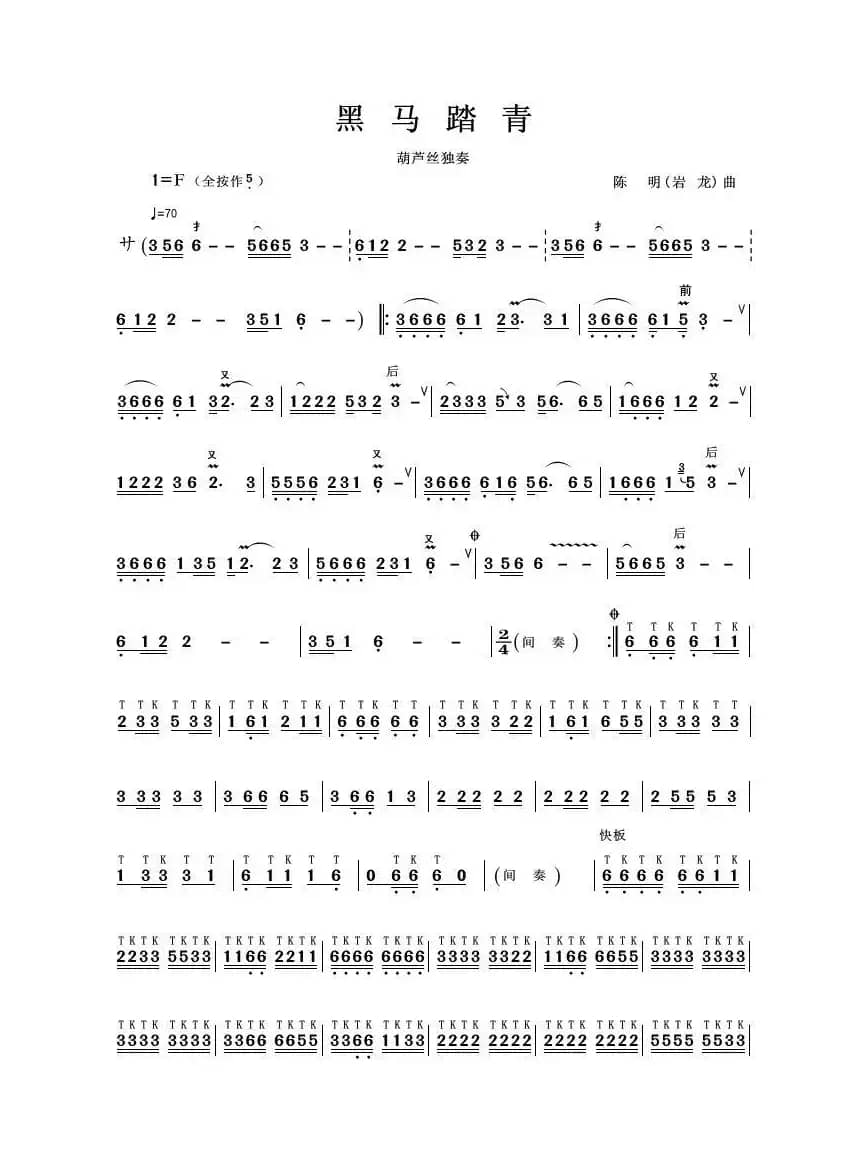 黑马踏青（葫芦丝独奏）