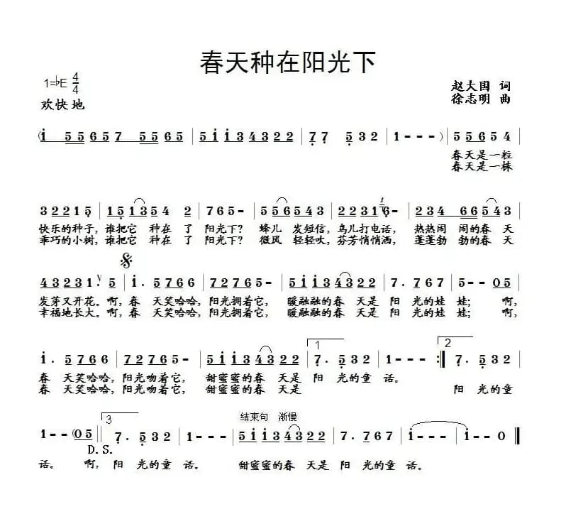 春天种在阳光下